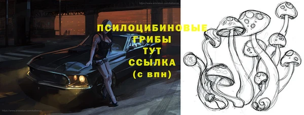 spice Михайлов