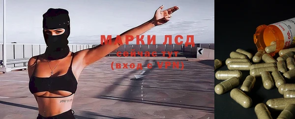 гидропоника Михайловка