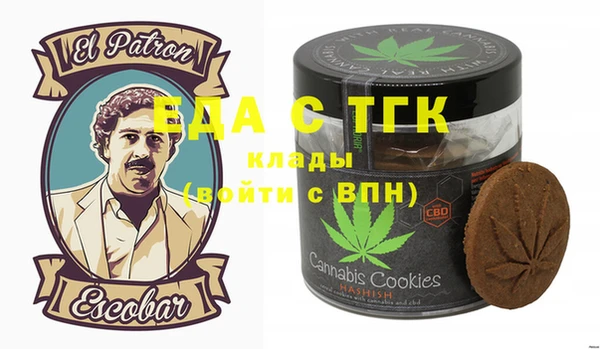 индика Мегион