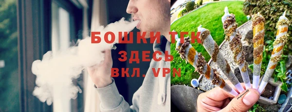 spice Михайлов