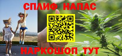 меф Гатчина