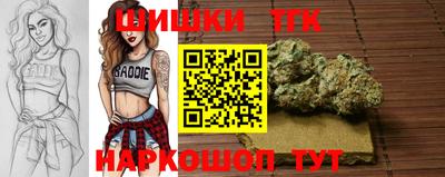 эйфоретик Гай