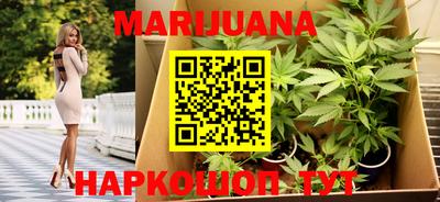 эйфоретик Гай