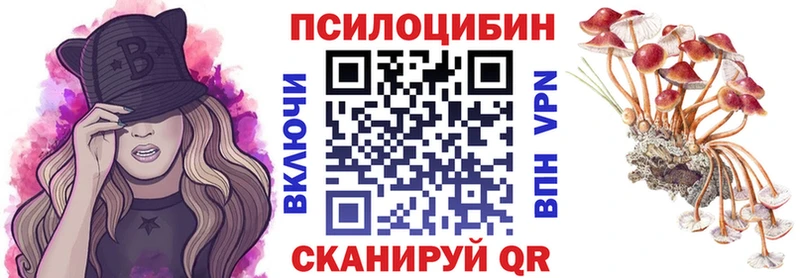 kraken рабочий сайт  Донецк  Псилоцибиновые грибы Psilocybine cubensis 