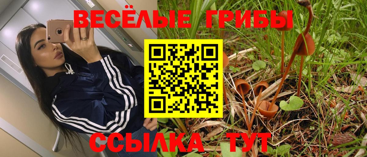 Псилоцибиновые грибы Cubensis Донецк