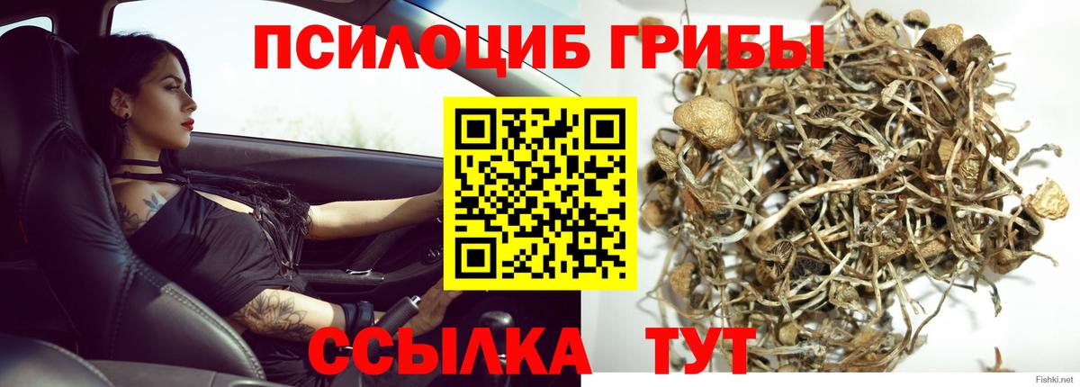 Донецк  где купить наркоту  Вход с VPN  Галлюциногенные грибы прущие грибы 